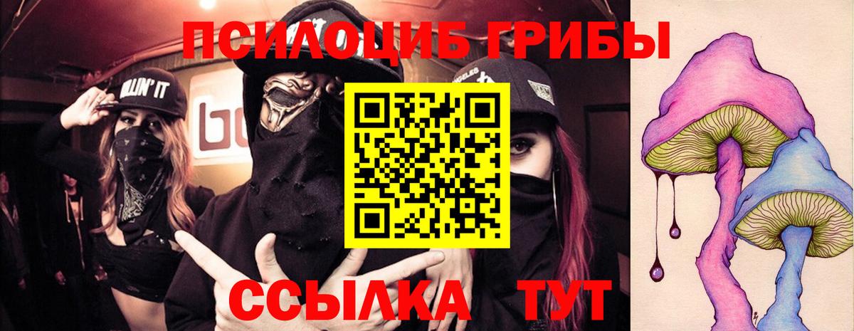 Псилоцибиновые грибы GOLDEN TEACHER  Галлюциногенные грибы MAGIC MUSHROOMS  Вход с VPN  Тара 